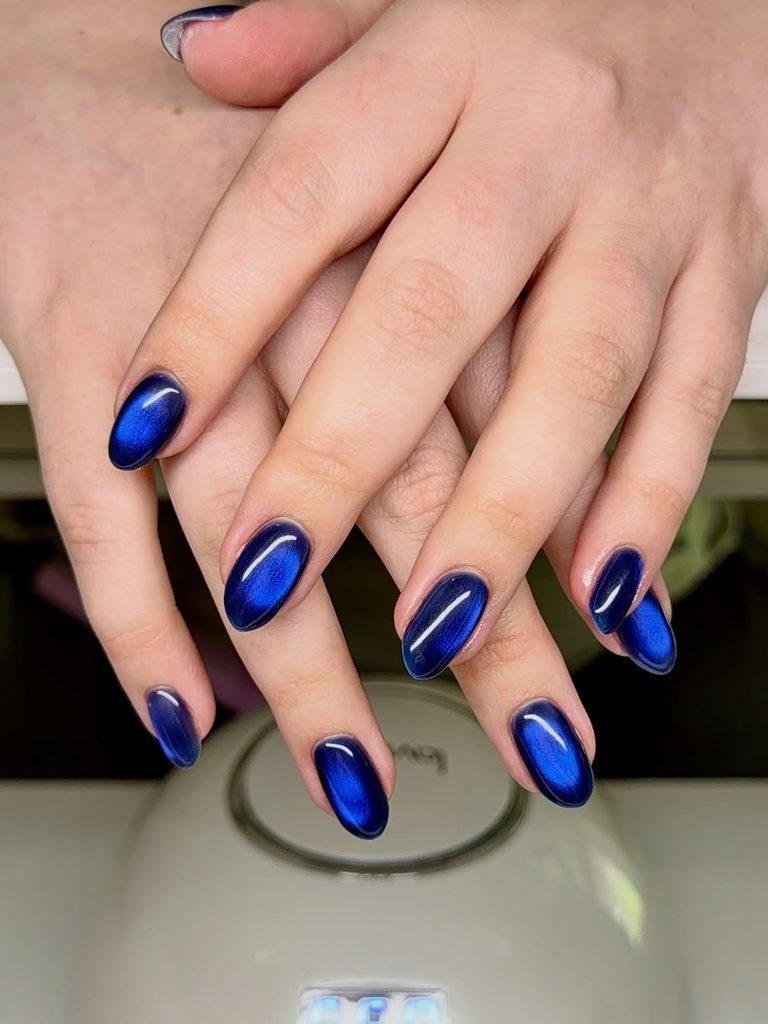 Dark Blue Cat-Eye Velvet Nails