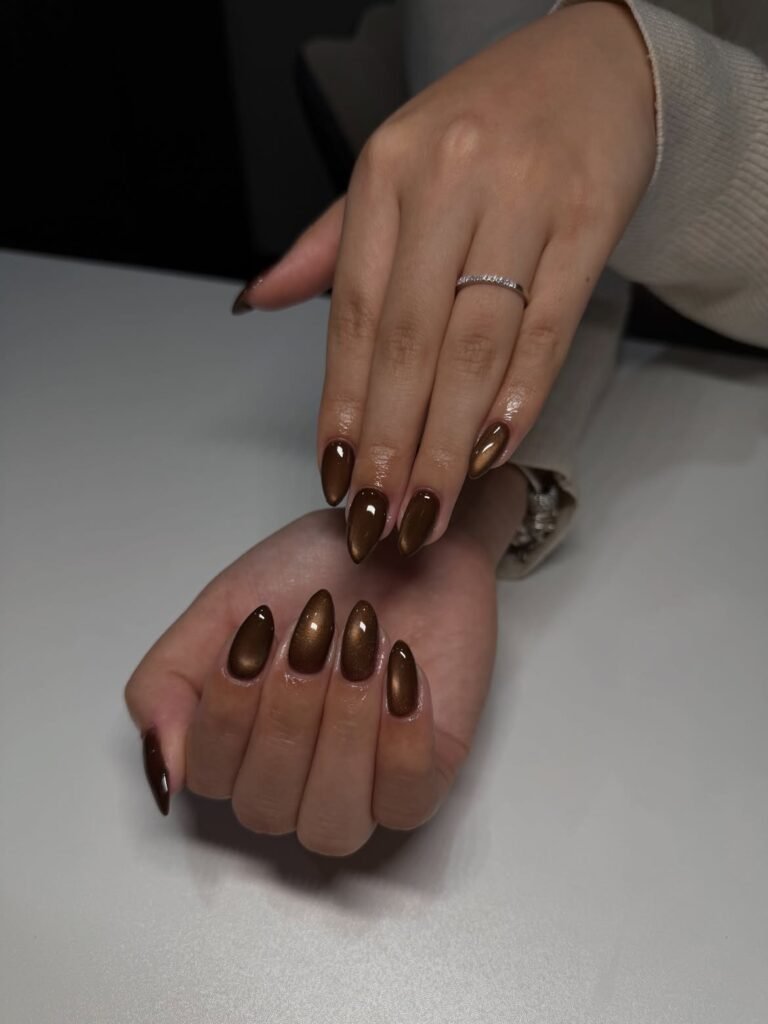  Brown Cat Eye Nails