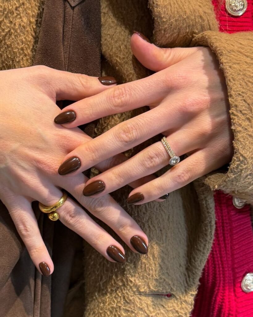 Glossy Chocolate Brown Nails