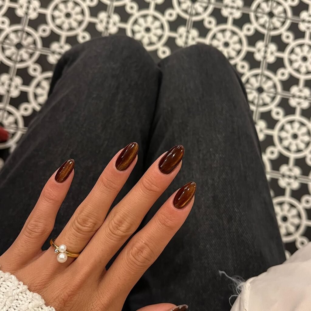 Velvet Brown Nails