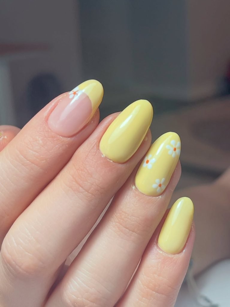 Butter Yellow Daisies
