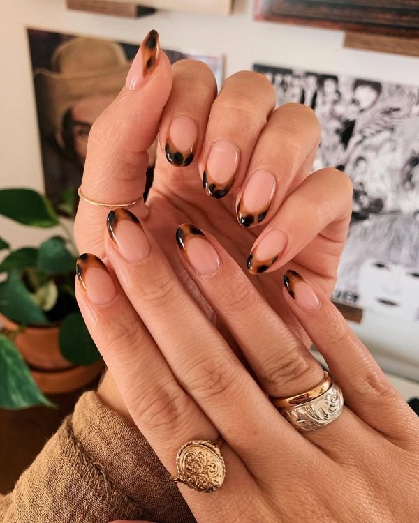 Honey Glaze With Tortoiseshell Tips