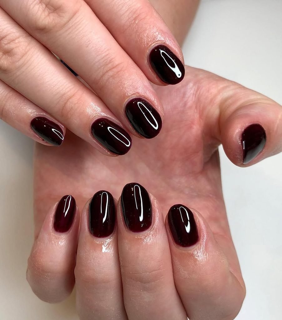 Short Oxblood Rounds
